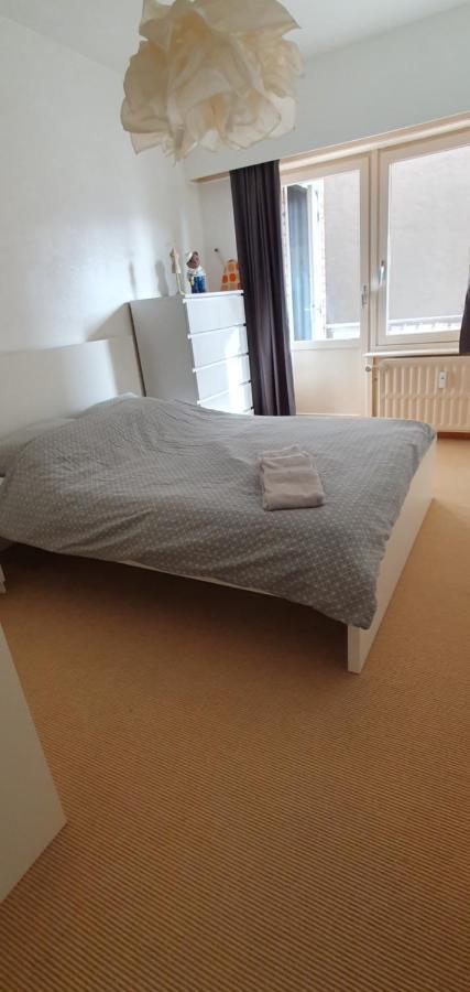 Cosy Apartment Near The Beach And City Center أوستيند المظهر الخارجي الصورة